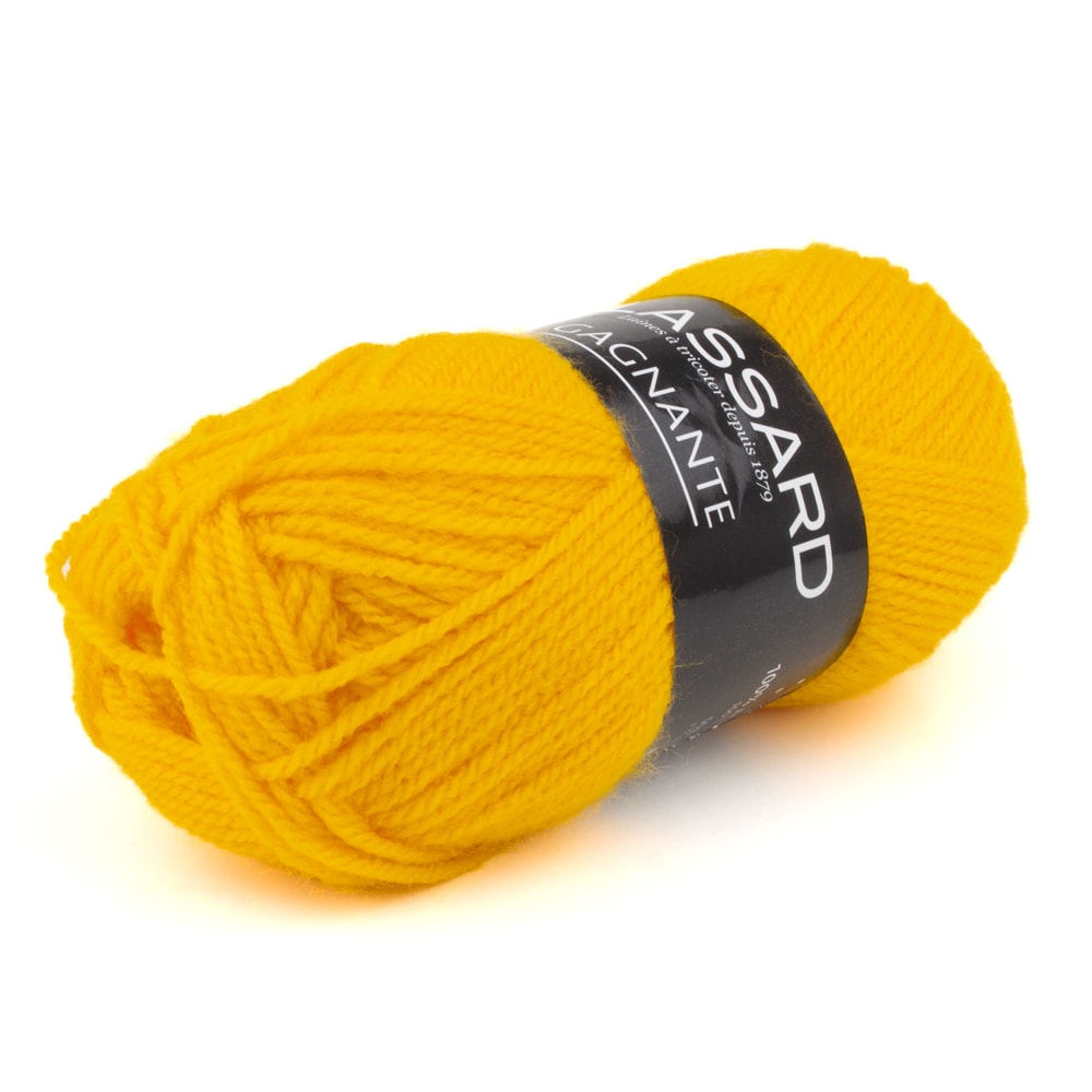 pelote de laine gagnante coloris n°921