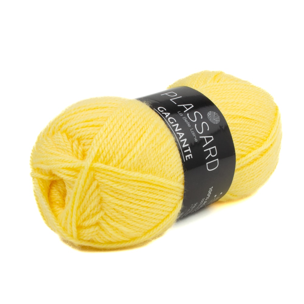 pelote de laine gagnante coloris n°932